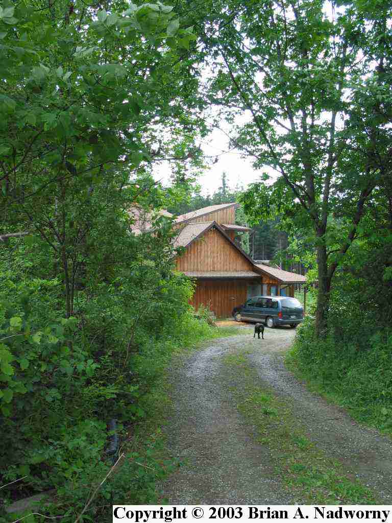 View from the Driveway (North West)